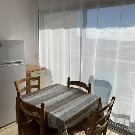 T1 A Balaruc-les-bains, Proche De L'etang De Thau, Ideal Pour 2, Animaux Acceptes - Fr-1-571-14 Apartment