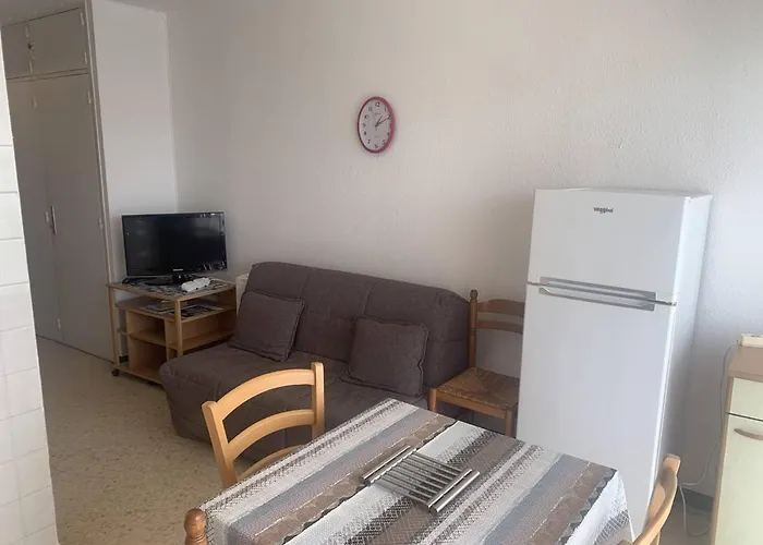 Apartman T1 A Balaruc-les-bains, Proche De L'etang De Thau, Ideal Pour 2, Animaux Acceptes - Fr-1-571-14 Balaruc-les-Bains